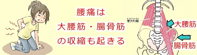 腰が痛くなる筋肉