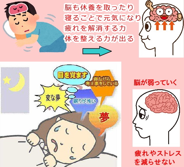 脳から寝る睡眠