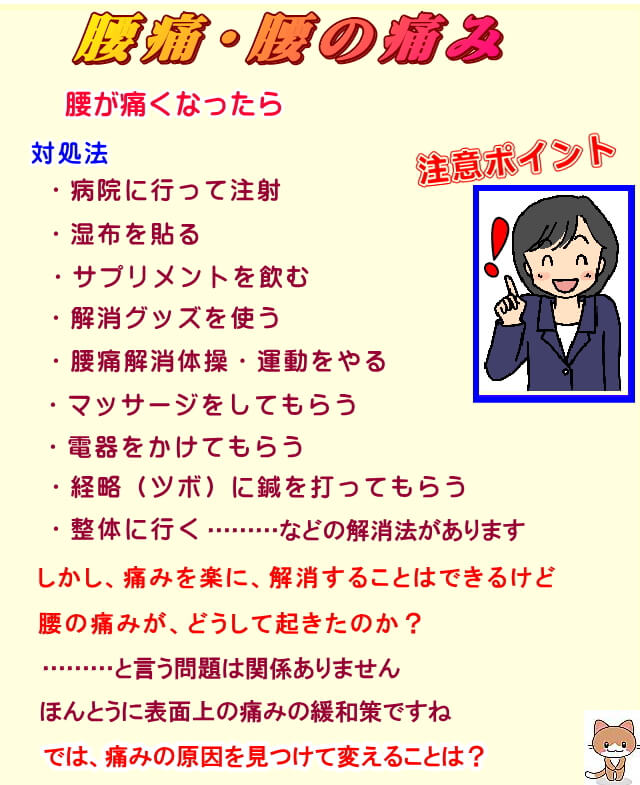 腰が痛くなる、痛みの原因は、どこにあるのか?