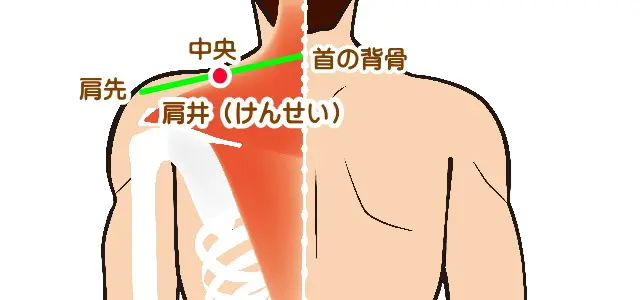 肩に効果のあるツボ
