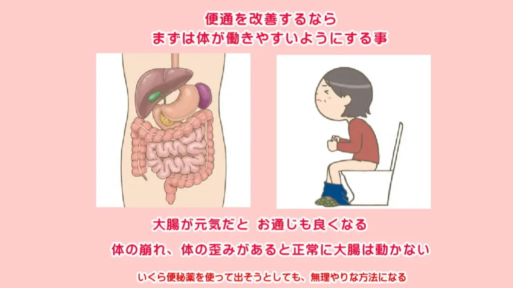便秘を改善するには基本の体を整えて働きから改善しないと北九州市小倉南区 徳力整体院