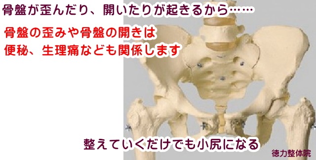 骨盤矯正とは骨盤を整えていく施術のことで代謝が良くなり、浮腫みや脂肪が減る 北九州市小倉南区徳力整体院