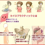 九州市小倉南区でカイロプラクティック徳力整体院があ肩こり、腰痛、頭痛、生理痛、便秘、膝の痛み、首のコリを解消する、小顔矯正と骨盤矯正と猫背矯正も人気
