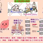 北九州市小倉南区の徳力整体院の施術の対象は筋肉だけじゃない