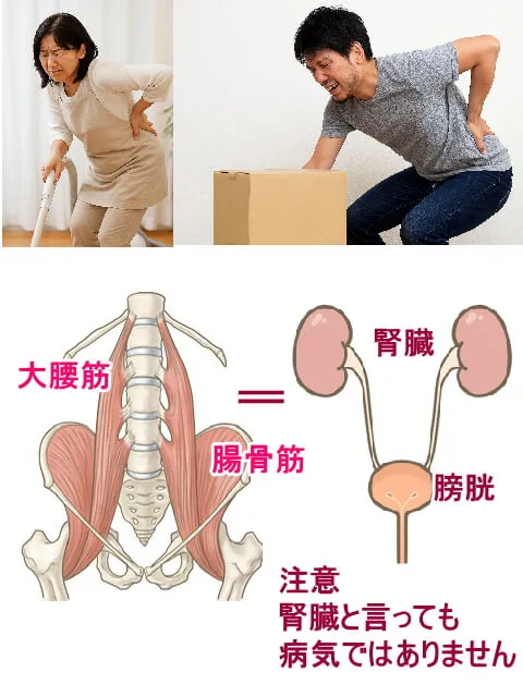 日ごろの疲れの蓄積が体の崩れ、体の歪みになる