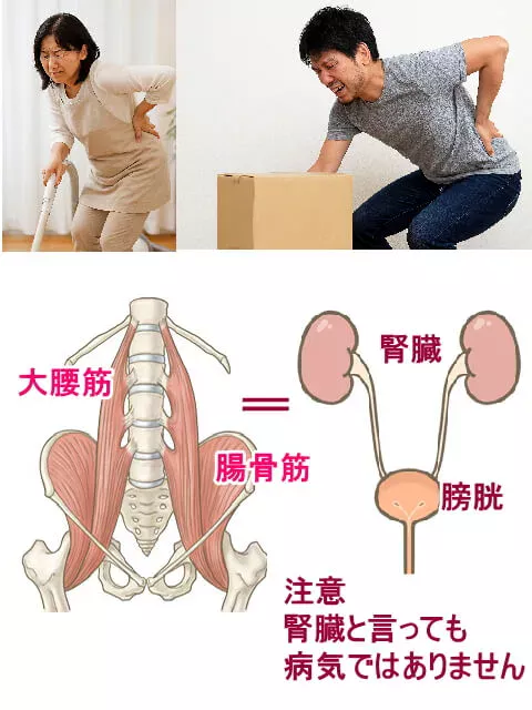 日ごろの疲れの蓄積が体の崩れ、体の歪みになる