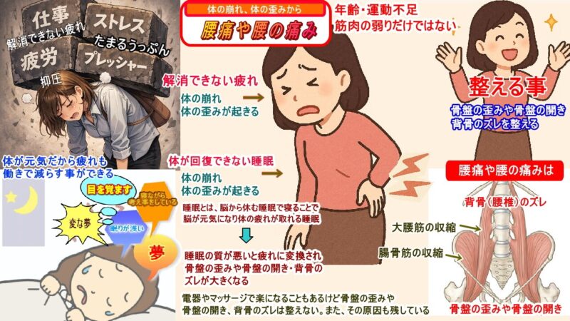 腰が痛くなるのは大腰筋、腸骨筋の収縮と骨盤の歪みや骨盤の開き、背骨のズレから