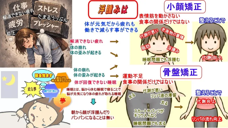 疲れや睡眠の質の問題から顔に浮腫みや脂肪、骨盤が太りやすい、スカートやパンツがキツク、入らなく