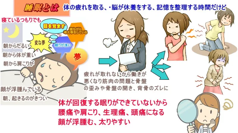 脳から休む睡眠で寝ることで脳が元気になり体の疲れが取れる睡眠が