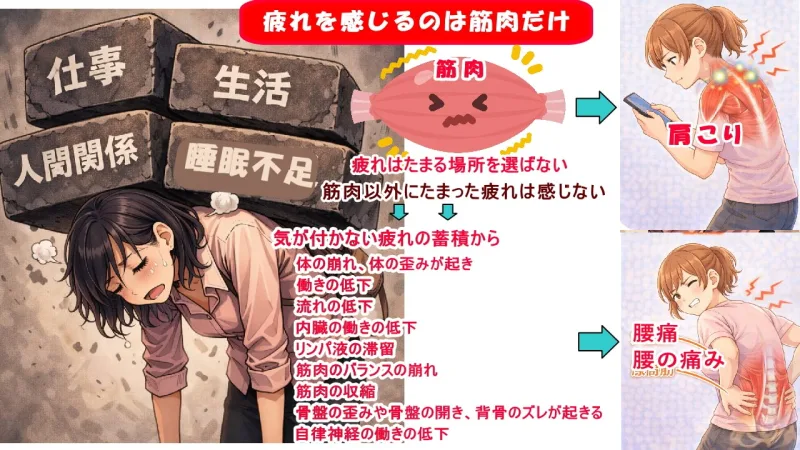 体の崩れ、体の歪みから肩こり、腰痛、頭痛、生理痛、便秘、膝の痛み、首のコリに