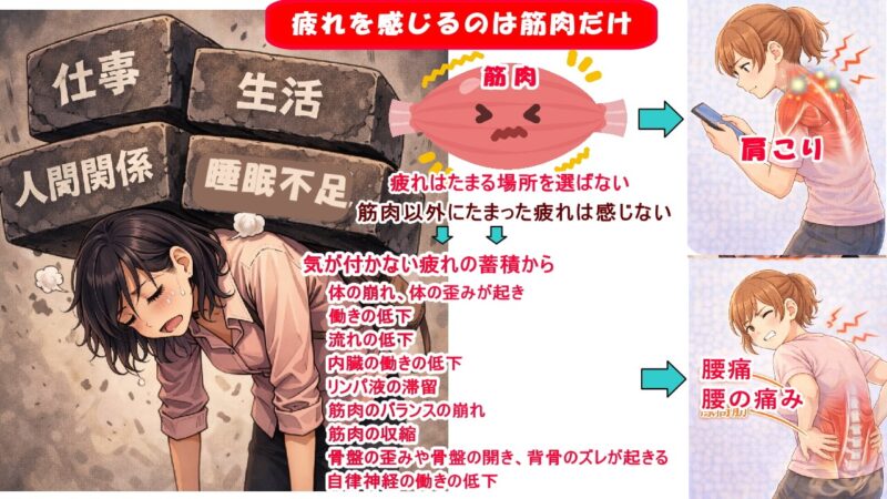 体の崩れ、体の歪みから肩こり、腰痛、頭痛、生理痛、便秘、膝の痛み、首のコリに