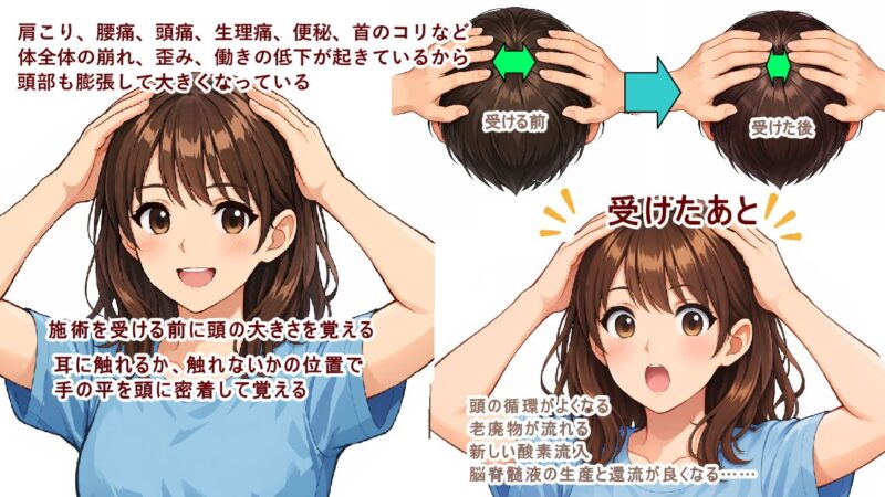 (北九州市小倉南区と小倉北区)体全体の崩れ、歪み、働きの低下から頭が大きくなっている