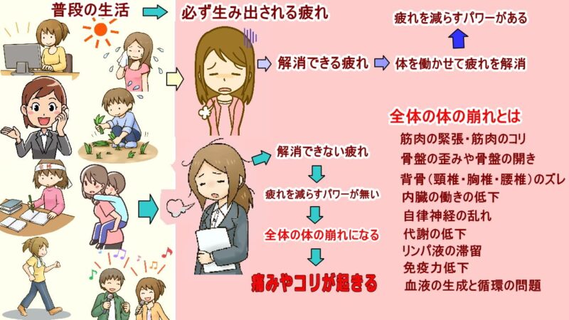 徳力整体院は36年の実績。肩こりや腰痛が起きるのは