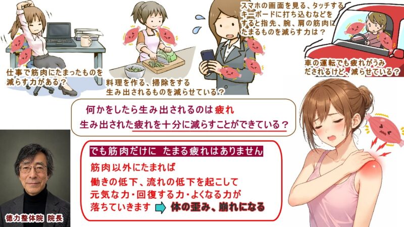 生活で生み出される疲れの蓄積が十分に減らすことができないと筋肉のコリになる(北九州市・小倉南区からも徳力整体院は36年の実績)