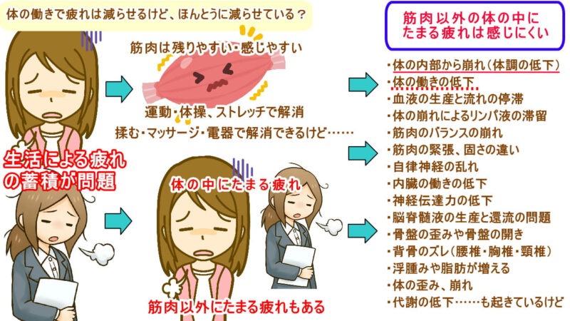 （北九州・小倉の徳力整体院は36年の実績。）徳力整体院は36年の実績で肩こり、腰痛、頭痛、生理痛、便秘、膝の痛み、首のコリを