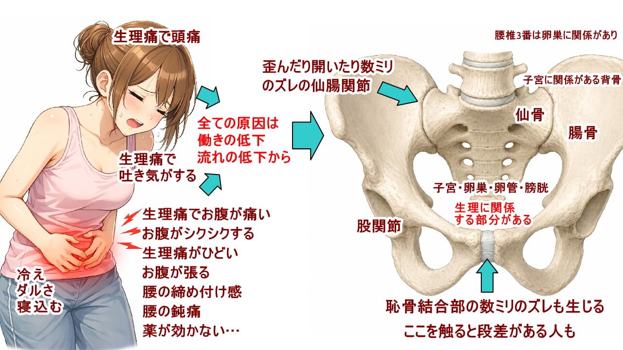 (北九州・小倉の徳力整体院は36年の実績。)生理痛を和らげる為に