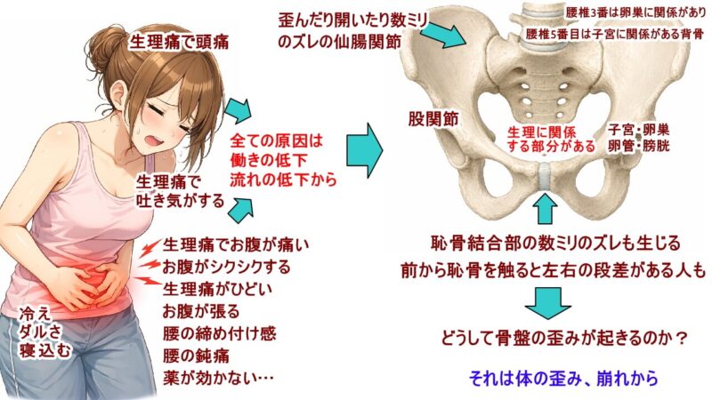 （北九州・小倉の徳力整体院は36年の実績。）生理痛を緩和する為に