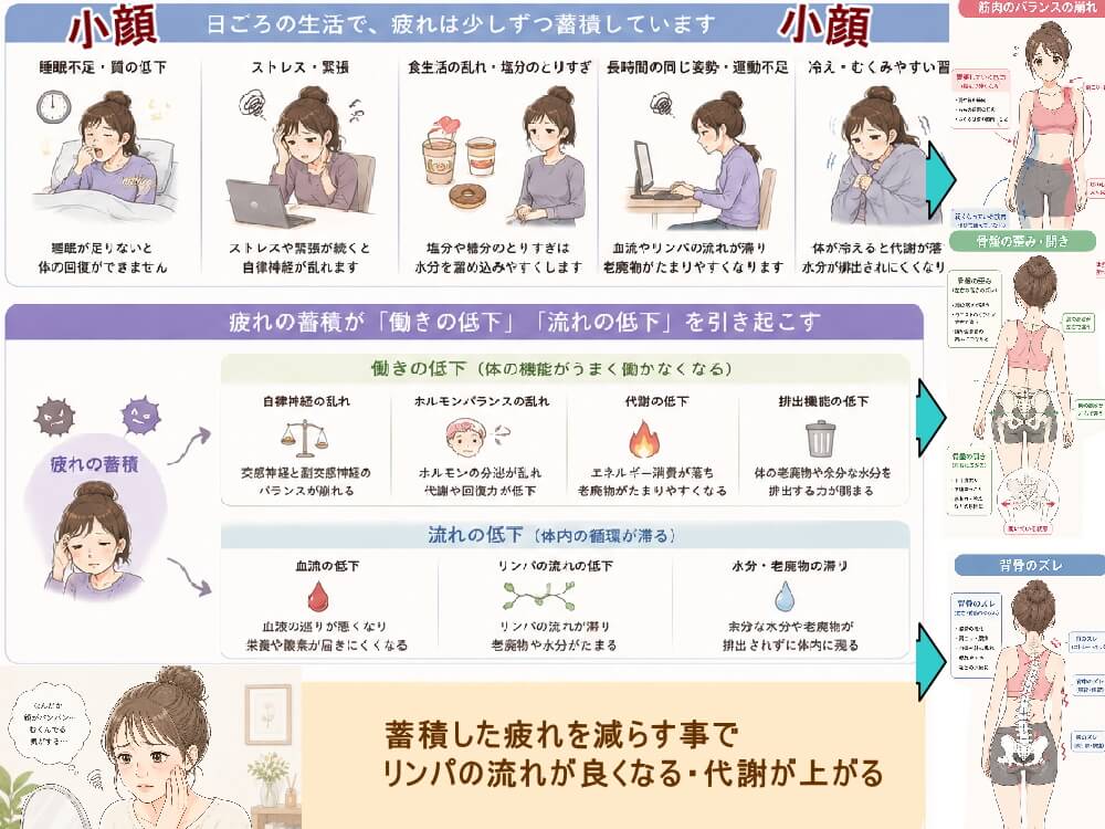 顔に浮腫みや脂肪が増えるのは気が付かない疲れの蓄積と睡眠の問題です・北九州市・小倉の徳力整体院。
