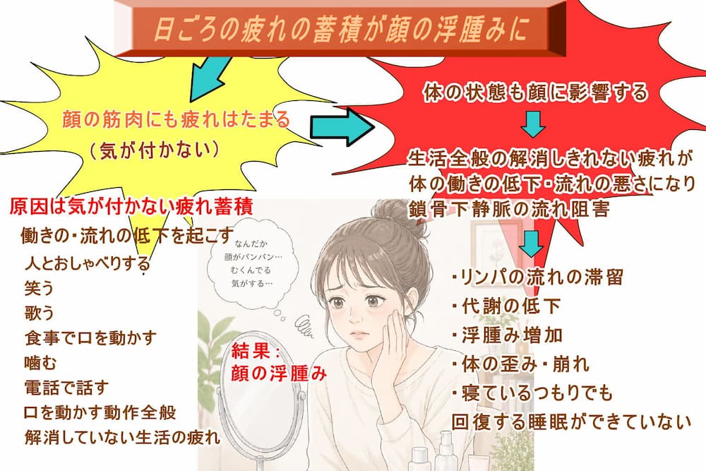 小顔矯正で顔を小さくするなら顔にたまった疲れが浮腫みを増やしています。北九州市・小倉の徳力整体院。
