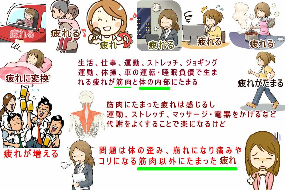 生活をすることによる生み出される疲れは筋肉にたまれば感じるけど、筋肉以外にも疲れはたまり体の歪み、崩れになる。北九州市・小倉の徳力整体院。