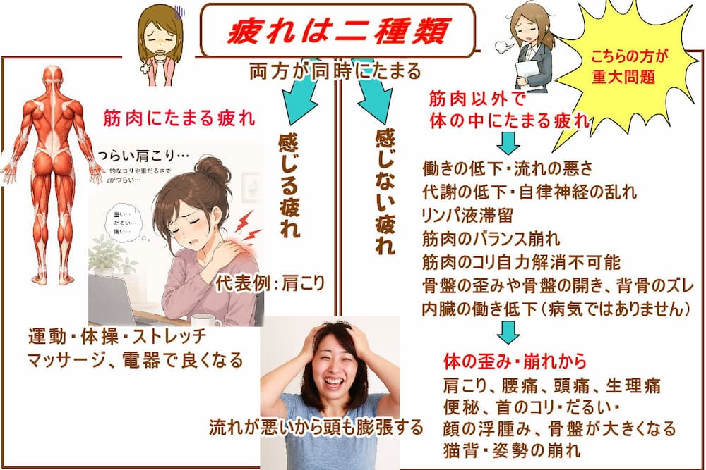 疲れは筋肉にたまれば感じるけど、筋肉以外にも疲れはたまる。北九州市・小倉の徳力整体院。