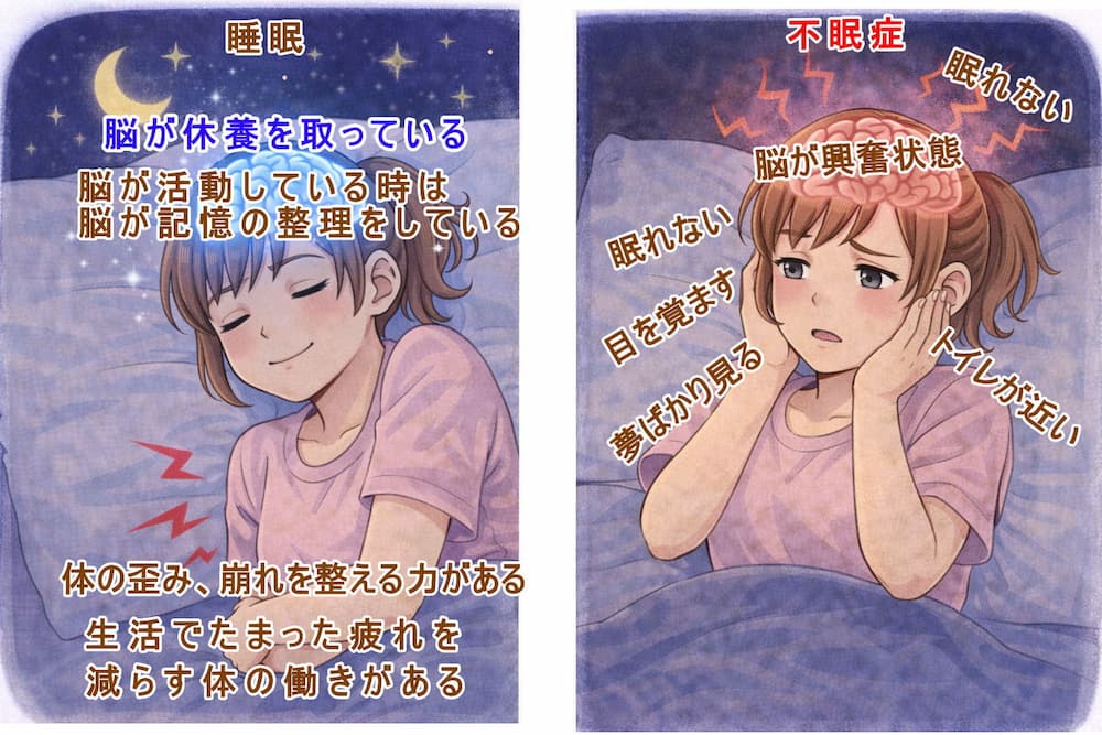 睡眠と不眠症。北九州市・小倉の徳力整体院。